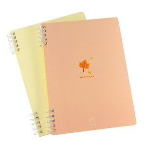 sổ lò xo a5 thiên long mb-019 mb-020 120 trang