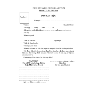 mẫu đơn xin việc tự điền mới nhất tại vpp bến tre