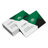 In Name Card, Danh Thiếp, Card Visit giá rẻ tại vpp bến tre