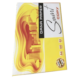 mua Giấy A4 Dana Paper Smart Copy 62gsm chính hãng tại VPP Bến Tre