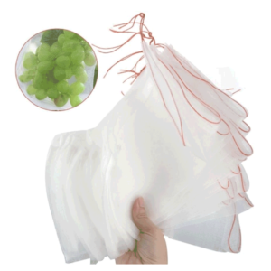 Mua Túi Lưới Bọc Trái Cây Giá Rẻ Tại VPP Bến Tre